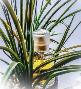 عطر جوپ فم ادو تویلت زنانه ( جوپ! فم ادوتویلت )
