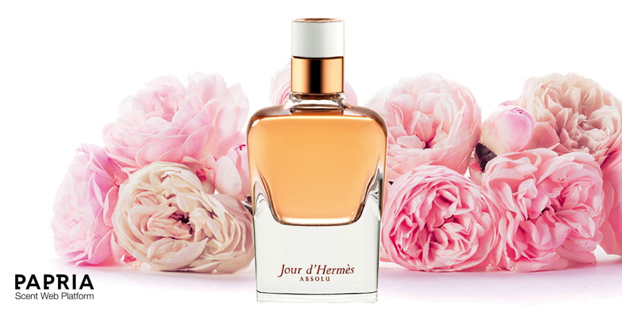 عطر هرمس ژور دی هرمس ابسولو ( جور دی هرمس ابسولو ) زنانه