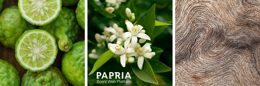 رایحه عطر لالیک آزالی ادو پرفیوم زنانه