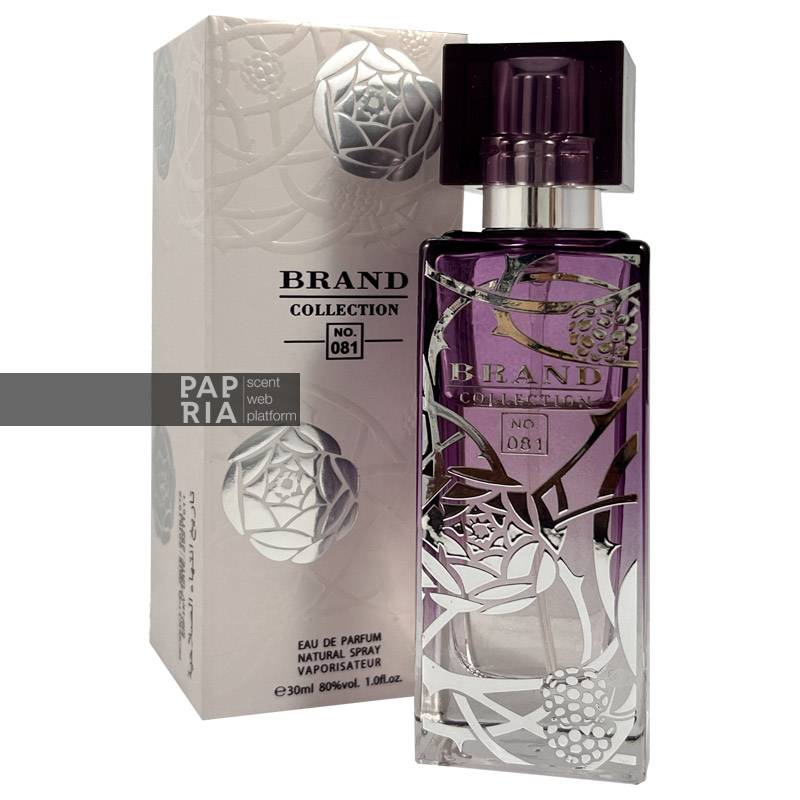 brand-collection-081 برند کالکشن شماره ی 081